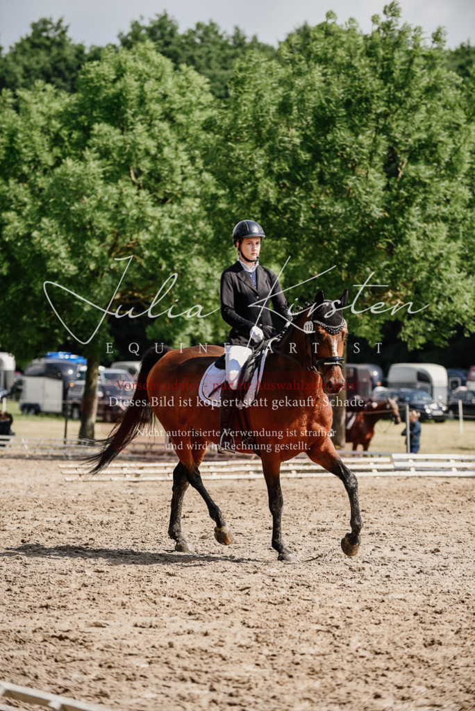 DSC_0469 | Pferde- und Turnierfotografie in Westsachsen. Pferdeportraits, Auftragszeichnungen und intuitive Kunst.
