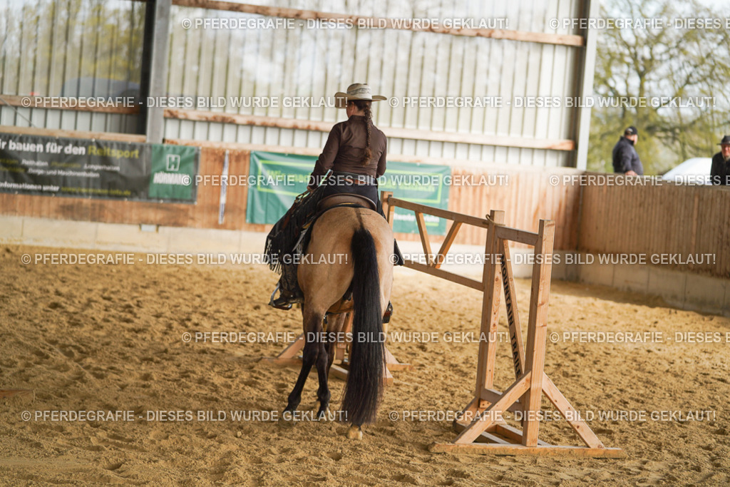 DSC01748 | Pferdegrafie