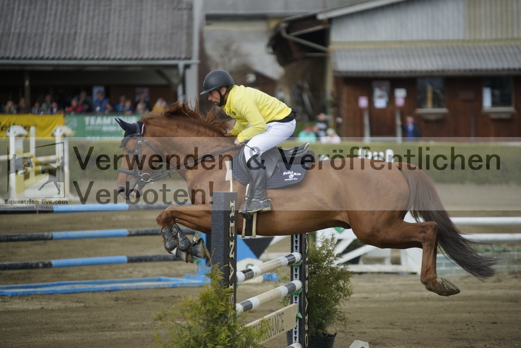 _DSC7868 | equestrian-live-com
