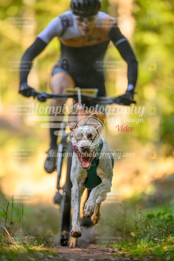 MompixPhotography_Yens2025_B3-124 | PayLife