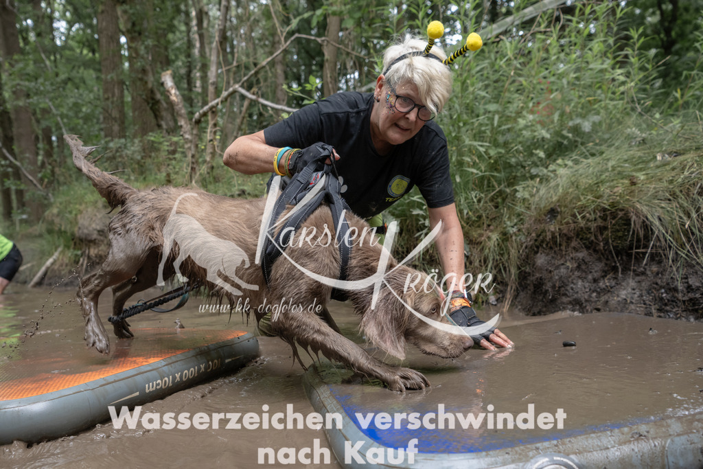 1339_ZZ95239 | kk-dogfotos