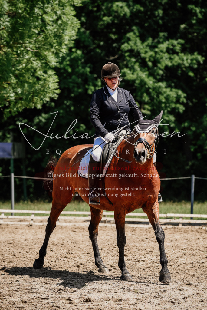 DSC_2035 | Pferde- und Turnierfotografie in Westsachsen. Pferdeportraits, Auftragszeichnungen und intuitive Kunst.