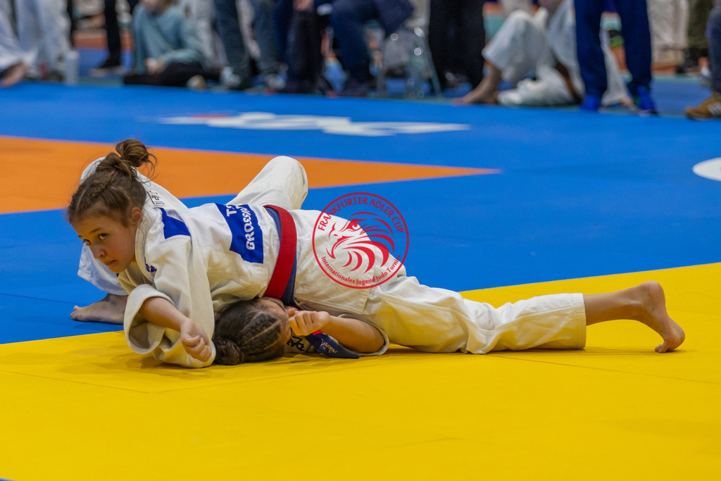 Internationaler Adler Cup 2024 | Foto vom Internationalen Adler Cup Judo Turnier im Sport- und Freizeitzentrum Kalbach im Oktober 2024 - Realisiert mit Pictrs.com