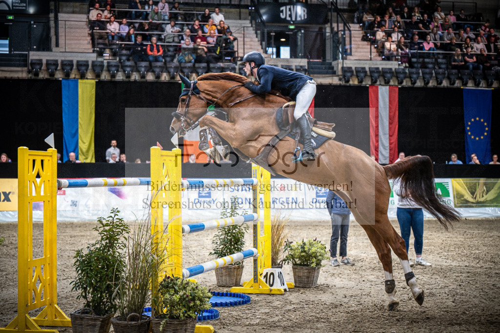 DOS_2781 | Entdecke hochwertige Reitturnierfotos von Foto Oger. Professionell, emotional und authentisch – jetzt Lieblingsmomente im Shop bestellen.Deutschlandweite Turnierfotografie. - Realisiert mit Pictrs.com