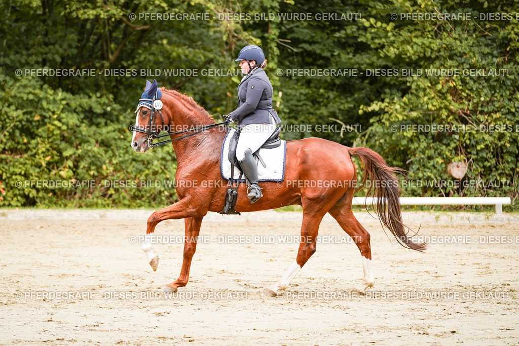 DSC03307 | Pferdegrafie