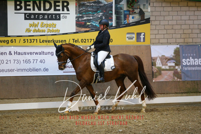 IMG_2959 | Turnierfotos kaufen im Webshop von Daniel Kuhl Photography – entdecke professionelle Reitsportfotos aus Turnieren & Events. Hochwertige Turnierbilder online bestellen & sichern. Jetzt Fotos von Reitsportturnieren kaufen!