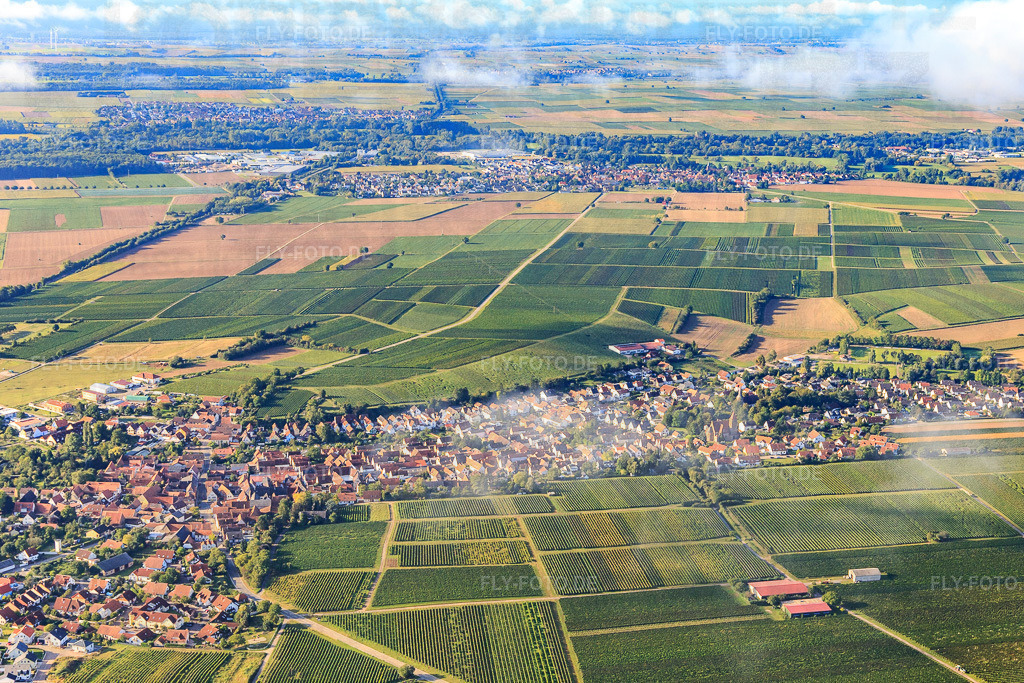 Ortsansicht aus Norden | Luftbild: Ortsansicht aus Norden in Insheim im Bundesland Rheinland-Pfalz in Deutschland. Foto: IMG_103431.jpg vom 10.09.2017 durch Werner Riehm/FLY-FOTO.de - Realisiert mit Pictrs.com