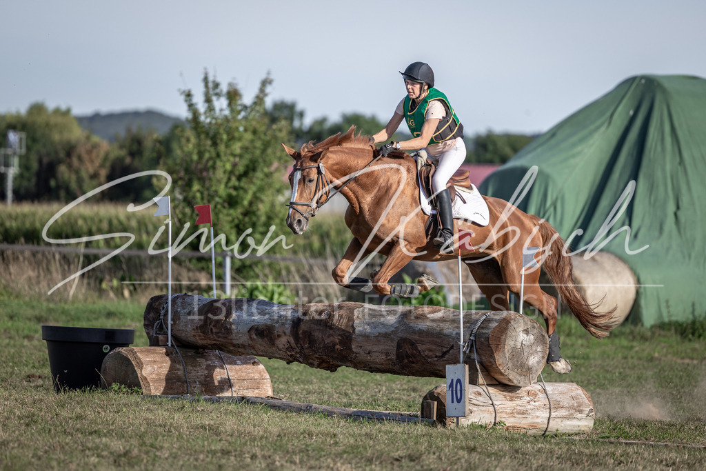 20250907-_3LI4358 | Tierfotografie Pferde, Hunde, Katzen, Haustiere.
Turnierfotografie Reitturniere, Reiten, Springreiten, Dressur in Hanau, dem Main-Kinzig-Kreis und dem Rhein-Main- Gebiet um Frankfurt