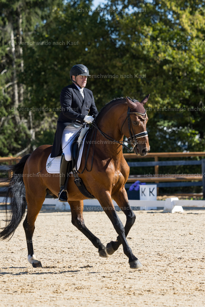 FHC2026_P07_168_17544 | working equitationturnier fotograf videograf stoibphotography marixx film working equitation deutschland reitsport turnierfotografie eventfotografie equestrian events