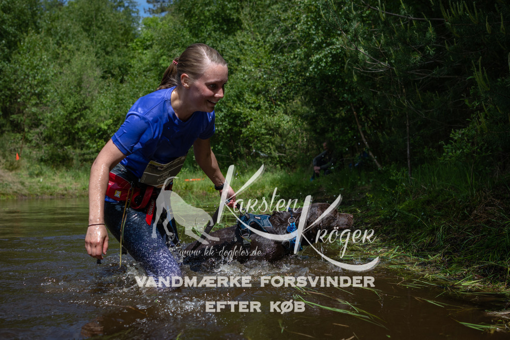 1200DKK991517 | kk-dogfotos