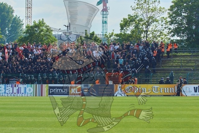 BFC Dynamo vs. FC Energie Cottbus 058 | mythos-online-redaktion