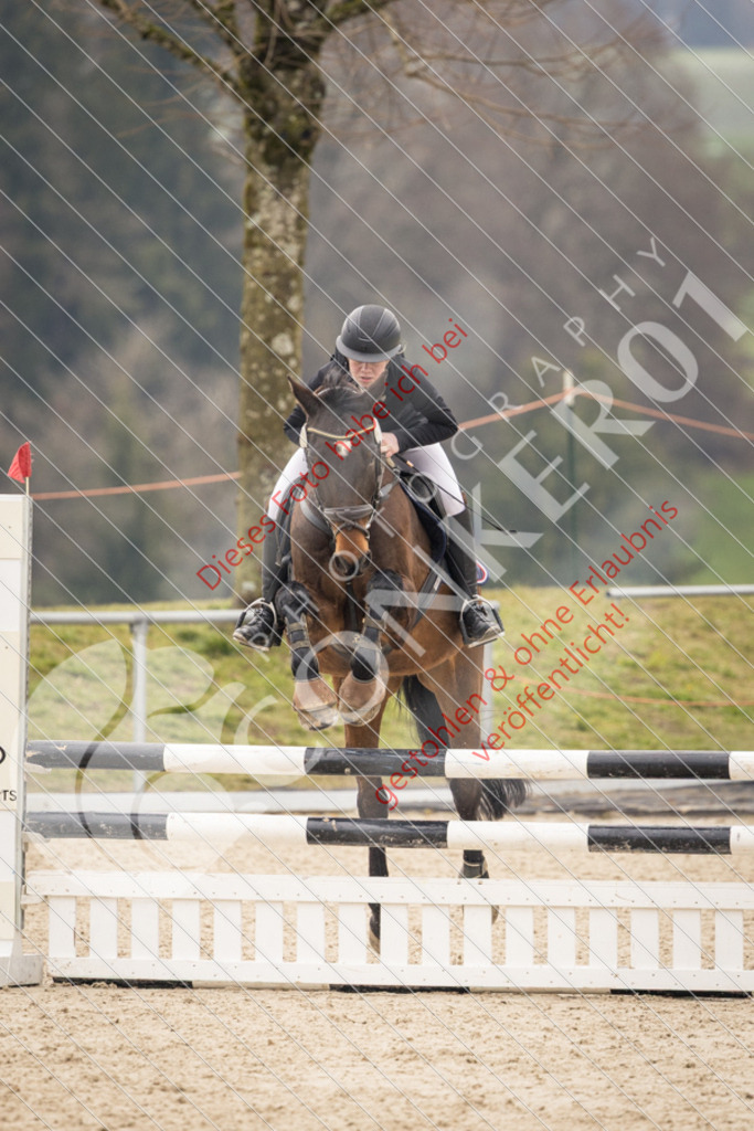 CON_1595 | Sport-, Event- und Tierfotos in Profiqualität. Einfach auswählen, bestellen und herunterladen. Dein Moment – perfekt festgehalten.