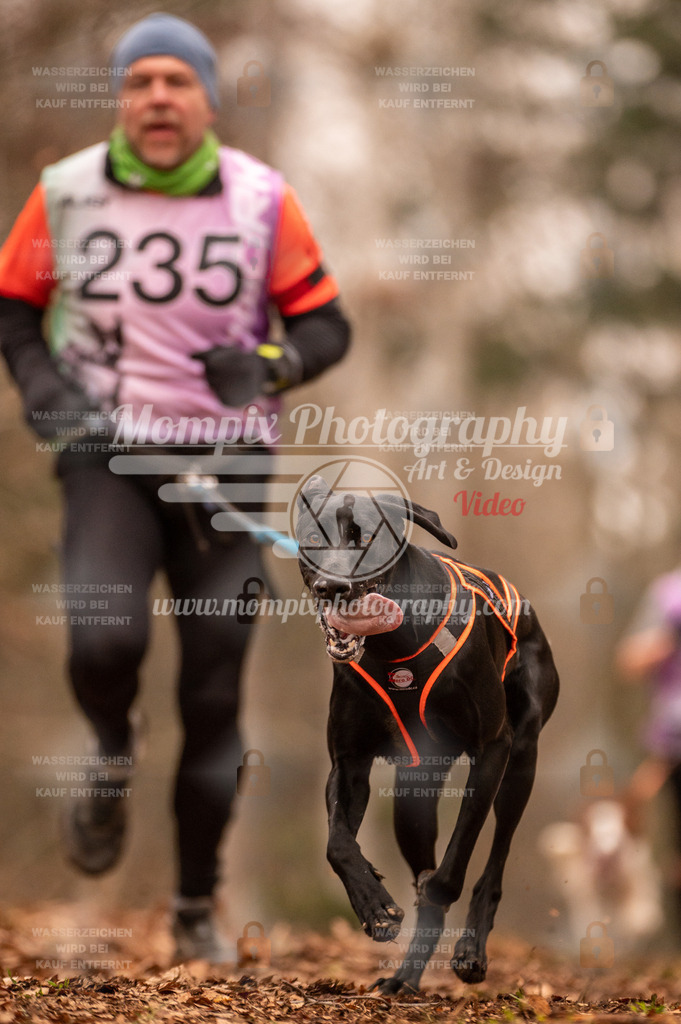 AKM_ST_2023_SAM_Run-83 | PayLife