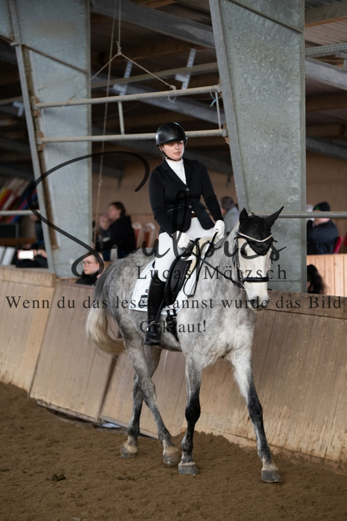 A7V04820 | Pferdefotograf