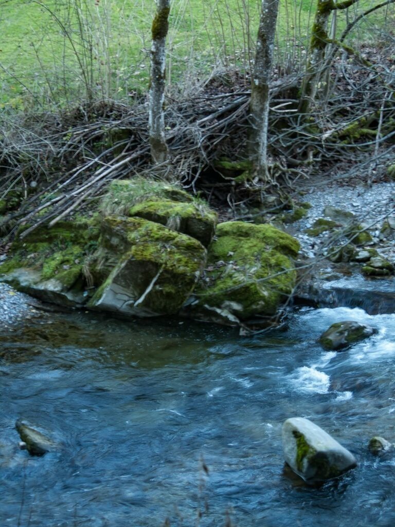 PSX_20221117_233020 | mtkfoto_ - Realisiert mit Pictrs.com