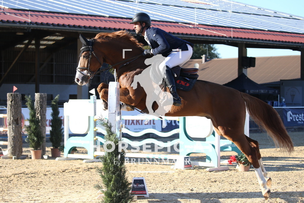 DL2Q4401 | Willkommen bei Brunnmayr - Design & Fotografie – Ihrem Spezialisten für Reitturniere und Pferdeveranstaltungen in Oberösterreich, Salzburg und Bayern! Seit über 17 Jahren sind wir leidenschaftlich dabei.