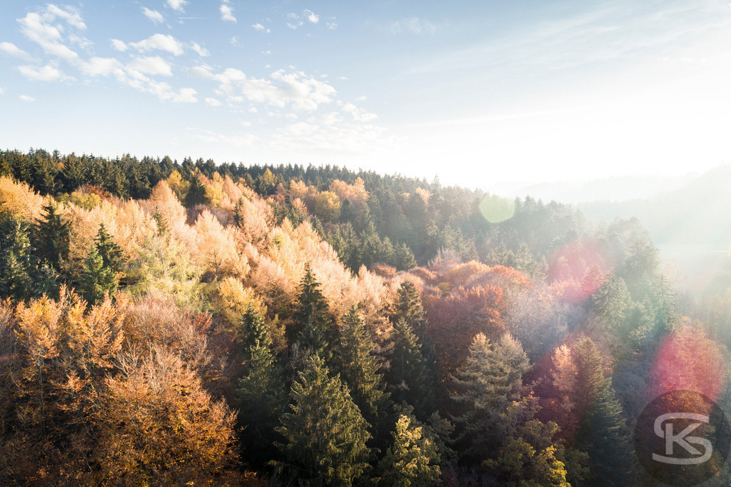 WunderschönerAllgäu-Herbstwald aus der Luft – Sonnenaufgang, Hügel, Wälder | Atemberaubende Allgäu-Landschaft aus der Luft mit Nebel und dichtem Wald im Herbst – Sonnenaufgang mit blauem Himmel in idyllische Natur, leuchtende Herbstfarben, beeindruckende Drohnenaufnahme - Realisiert mit Pictrs.com