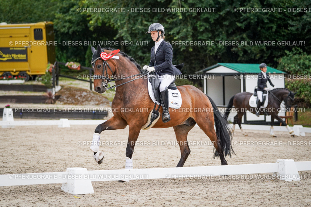 DSC00007 | Pferdegrafie