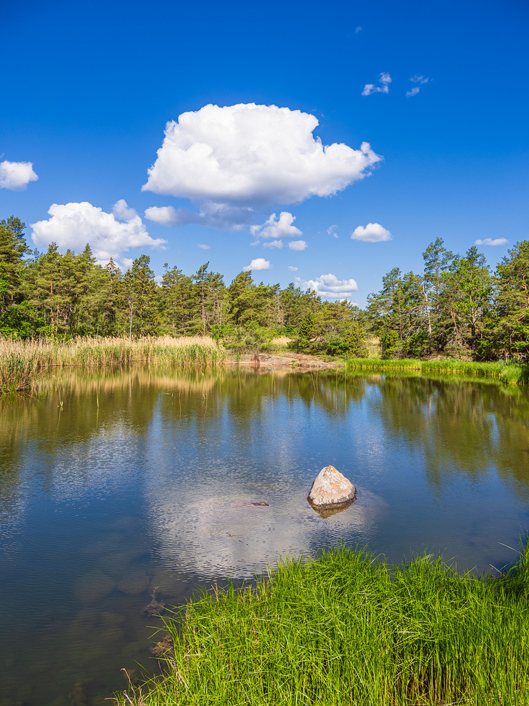 Ostseeküste mit Felsen und Bäumen auf der Insel Uvö in Schweden | Ostseeküste mit Felsen und Bäumen auf der Insel Uvö in Schweden.