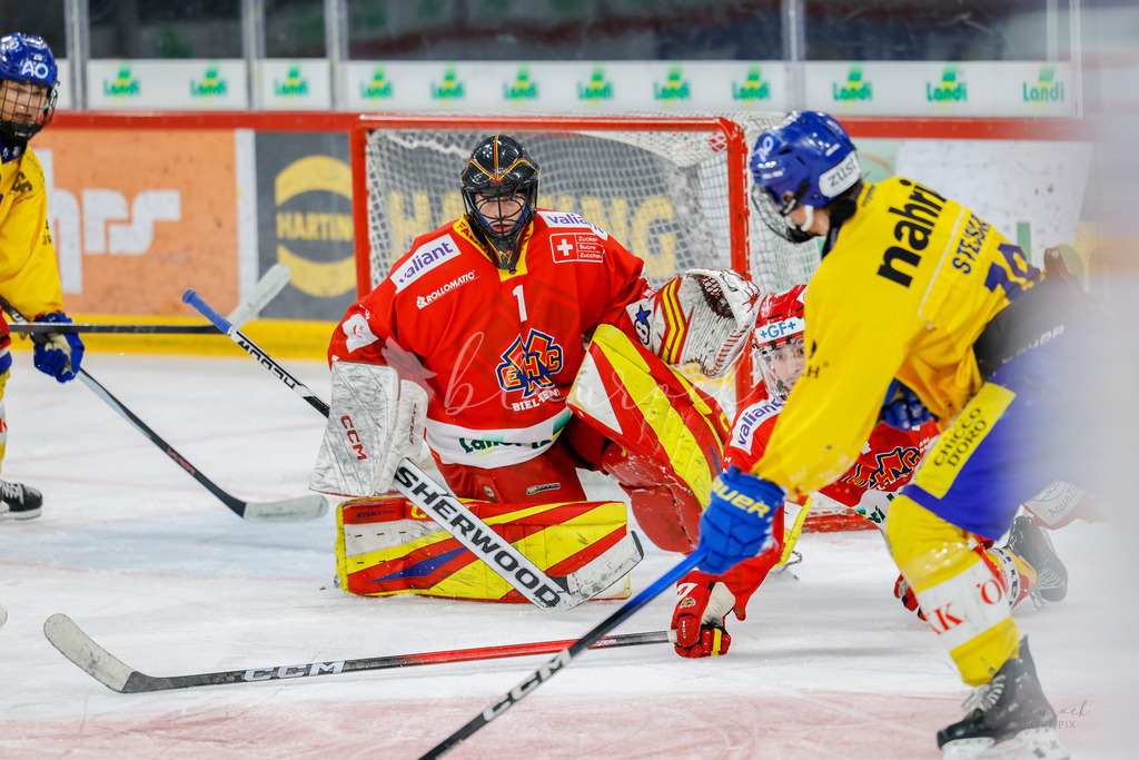 U21_EHCB vs HCD_wb20260308-0296 | Sportbilder, Sportfotograf, Hochzeits- und Eventfotografin, Flugshows, Portraits und Tiershooting, Aviation, Downhill, Nationalleague, Swissleague, International