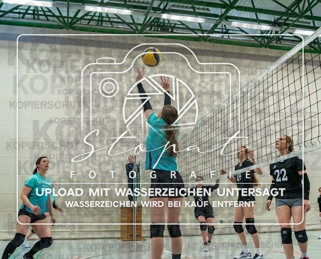 TVJ-1155 | Volleyball Doppelspieltag der 2. Damenmannschaft des TV Jahn Walsrode in der Bezirksklasse 4 Bremen/Lüneburg gegen SG Örtzetal II &amp; SVG Lüneburg VII  in der Sporthalle Gymnasium Walsrode, Walsrode (Simon Paul Stopat) - Realisiert mit Pictrs.com