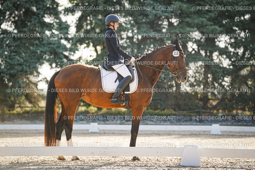 DSC07874 | Pferdegrafie