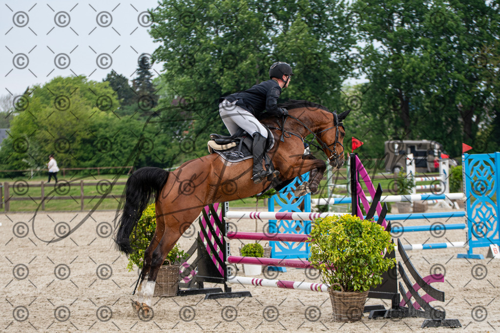 KPT_3554 | andre_photographic