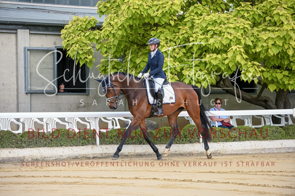 Schugtsche-Aluta25-48.Reitpferfdeprf.-3 | Schugtsche Fotografie - Realisiert mit Pictrs.com