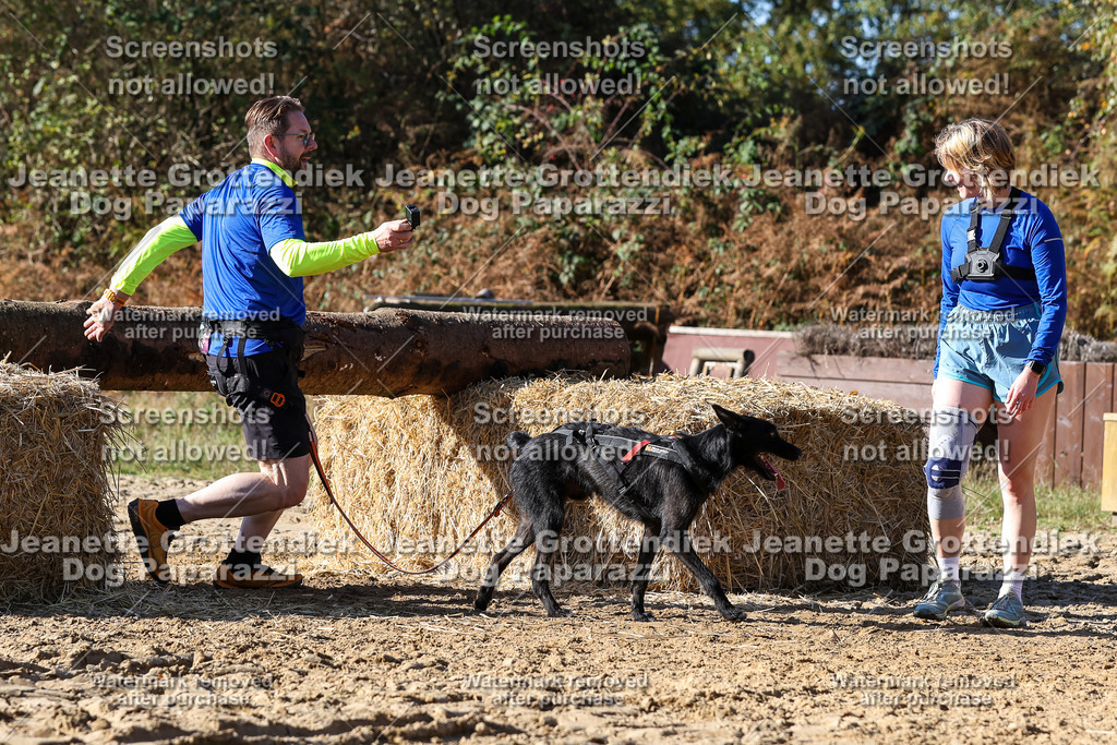 Dog Paparazzi - Strongdog 10-25-2890 | Dog Paparazzi Jeanette Grottendiek Fotografie & Videografie - Realisiert mit Pictrs.com