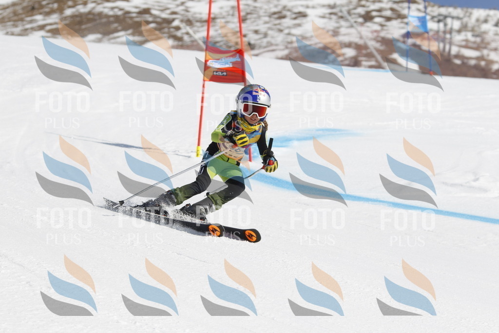 _U3G9680 | holidayphoto