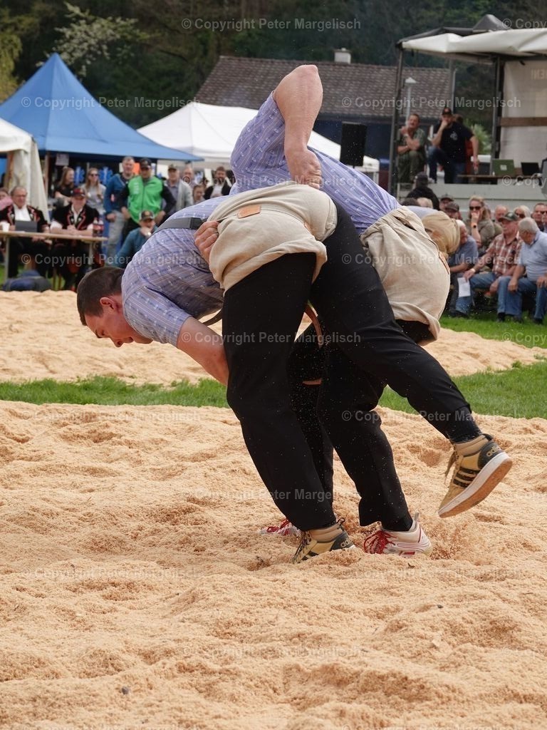 k-DSC06173 | Schwingen - Realisiert mit Pictrs.com