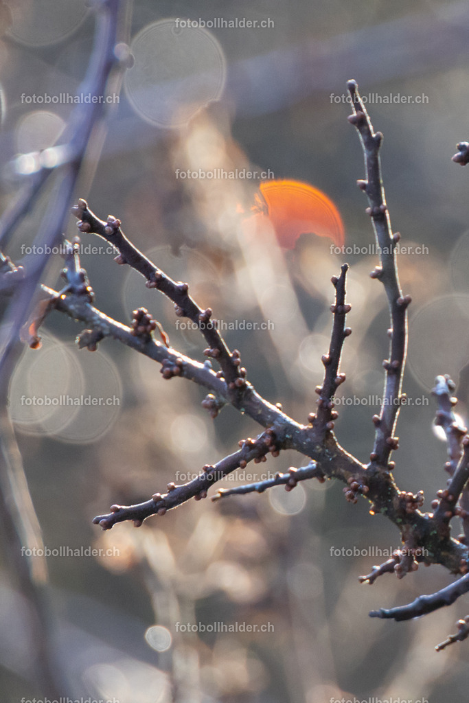 IMG_0493 | Foto Bollhalder 