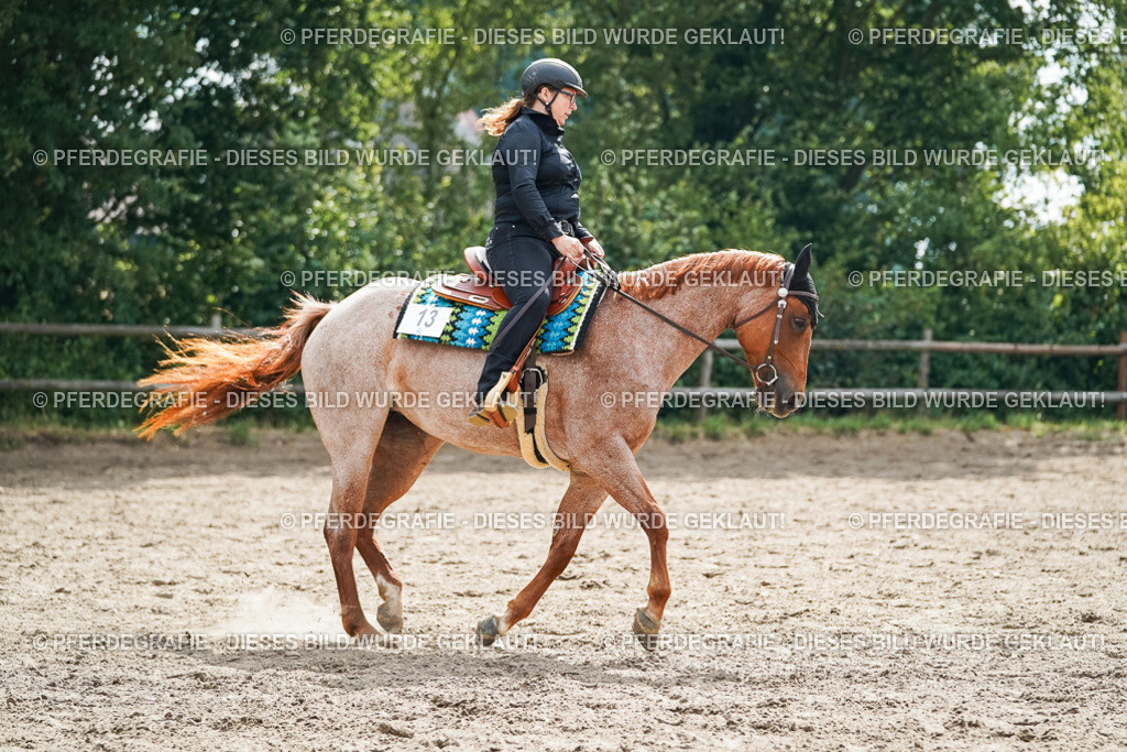 DSC04347 | Pferdegrafie