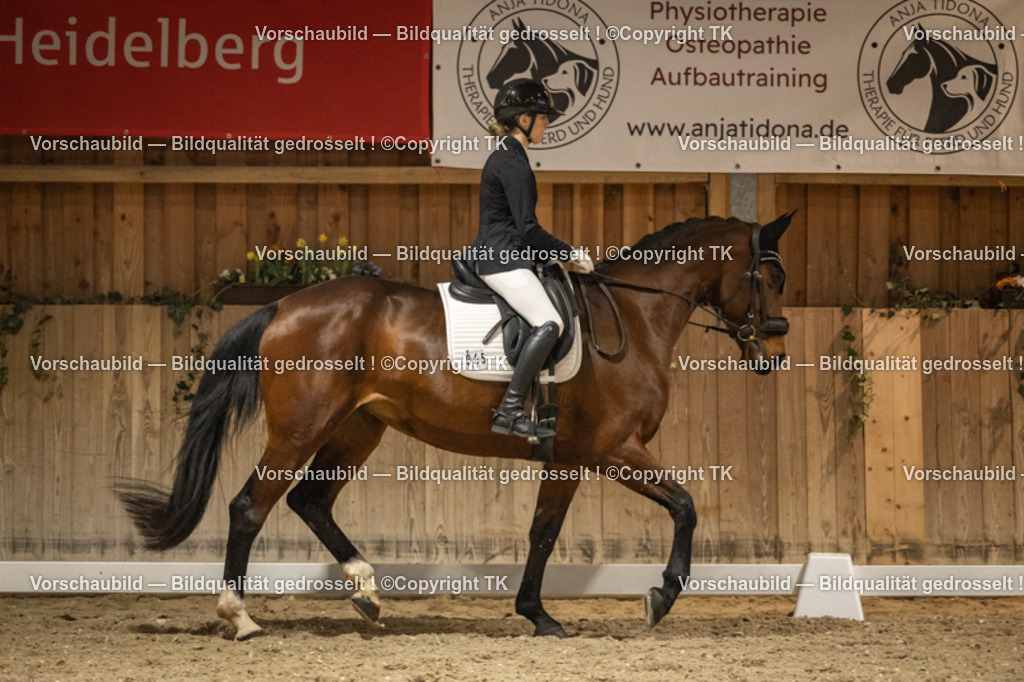 _D5A0206 | Emotionale Pferde- & People-Fotografie rund um Heidelberg, Leimen & Umgebung. Natürliche Fotos von Pferd, Mensch & Familie. Jetzt Termin sichern!