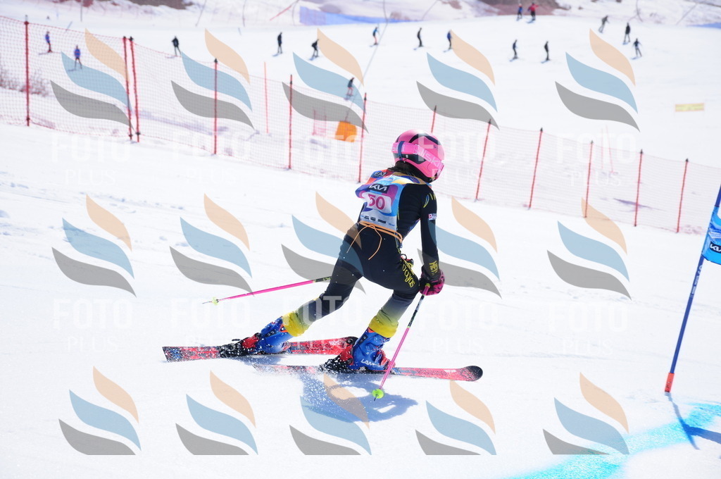 DSC_4192 | holidayphoto