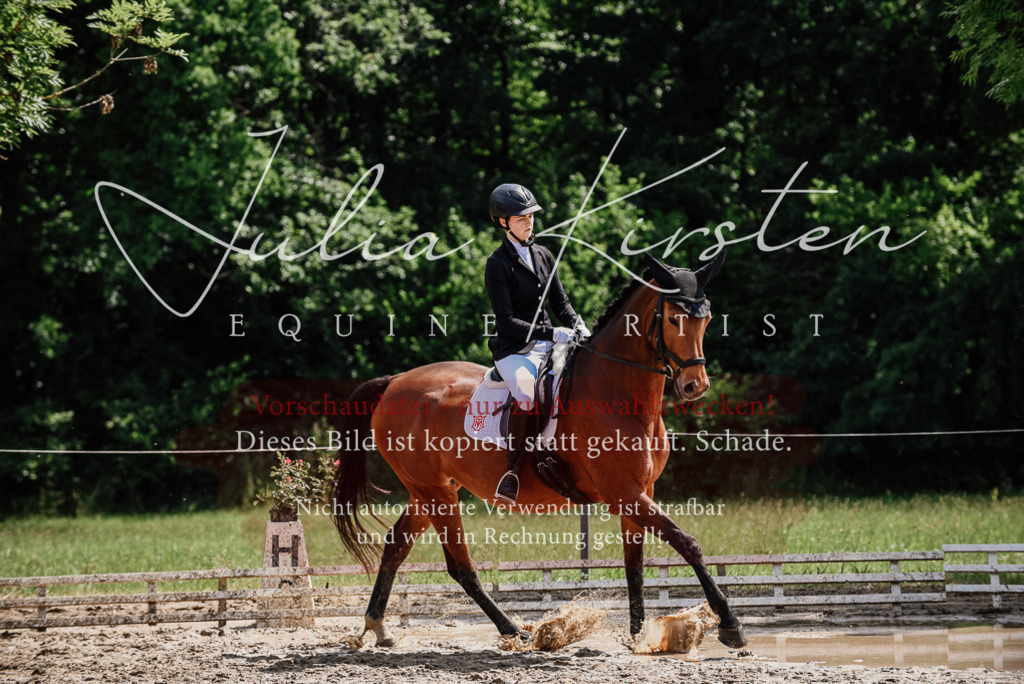 DSC_1023 | Pferde- und Turnierfotografie in Westsachsen. Pferdeportraits, Auftragszeichnungen und intuitive Kunst.