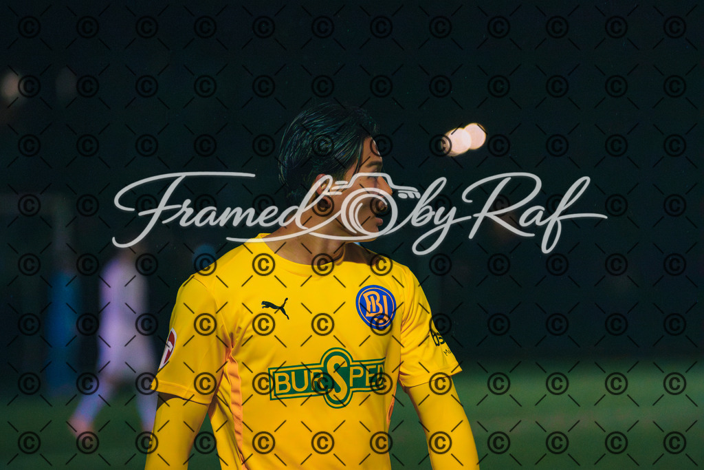 DSC02528 | Professioneller Online-Store für hochwertige Fotografie: Entdecke einzigartige Bilder aus Street, Events und Lifestyle. Sichere dir exklusive Prints und digitale Downloads in bester Qualität für dein Zuhause oder Projekte. - Realisiert mit Pictrs.com