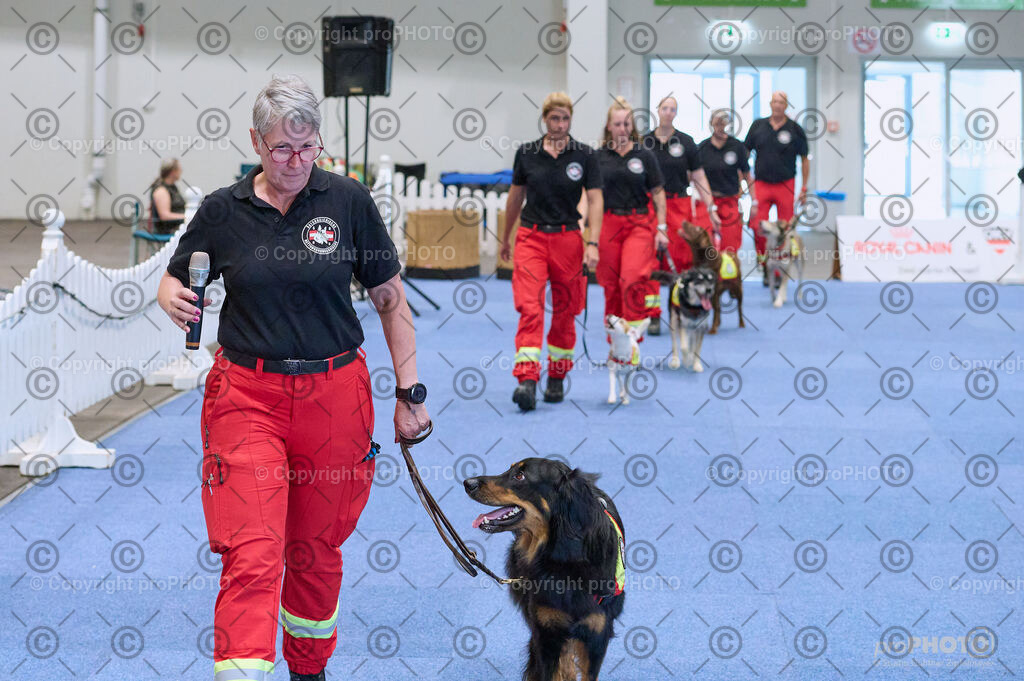 202406_ÖKV-IHA-Tulln24_DSC_3424 | proPHOTO - Realisiert mit Pictrs.com