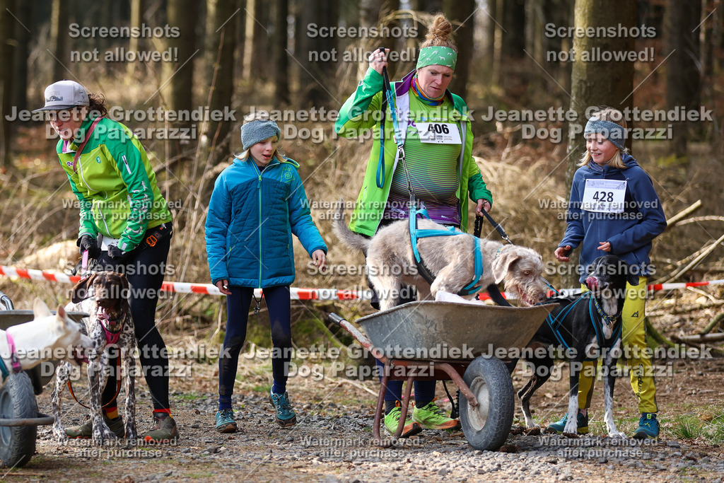 Dog Paparazzi - VCC26-647 | Dog Paparazzi Jeanette Grottendiek Fotografie & Videografie - Realisiert mit Pictrs.com