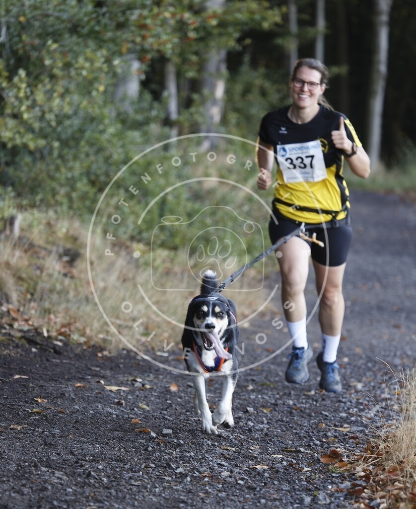 0L8A1945 | Hundefotografie, Tierfotograf, Pfotenfotografie, Fotoshooting Hund, Hunde Portrait, Hundesport, Hundeportraits, Heideshooting, Hunde, Sportfotograf, Hundefotograf, Turnierhundsport, THS,  - Realisiert mit Pictrs.com