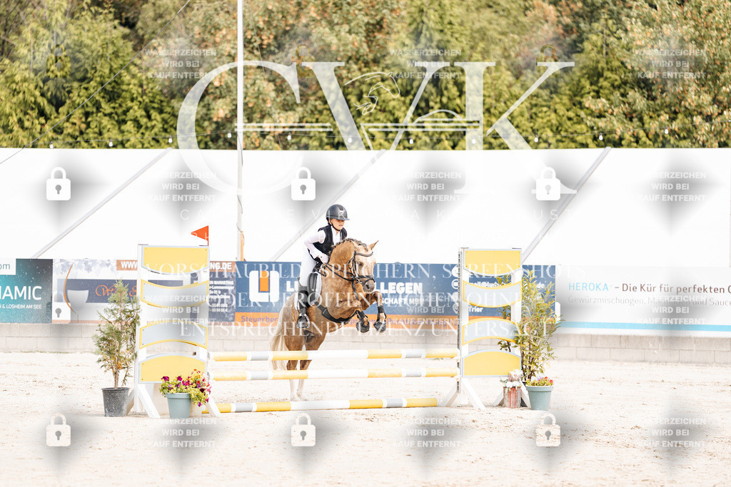 CK906216 | Turnierfotografie Pferdefotografie Trier Rheinland-Pfalz Pferdesport Reitsport Tierfotografie Sportfotografie Pferdevideo Pferdevideografie Equestrianvideography equestrianphotography  - Realisiert mit Pictrs.com