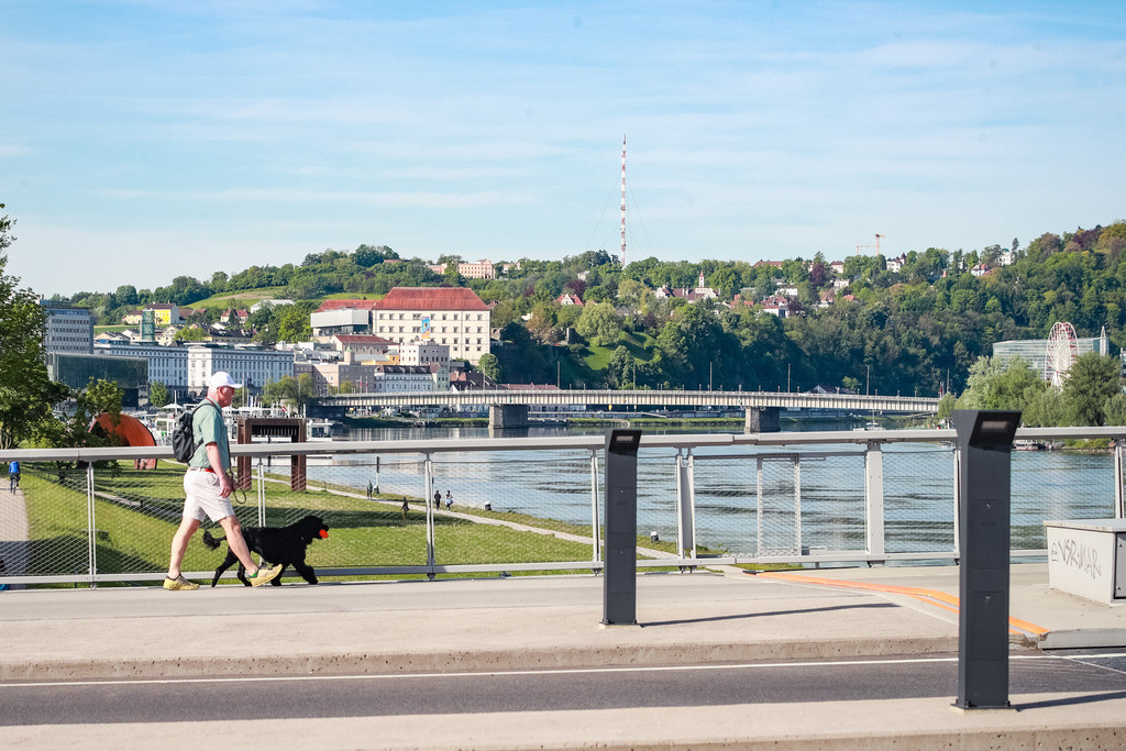 MB-20240428-101-107-0090 | Int. 3 Brückenlauf Linz, Foto: WAPICS/Binder Manuel