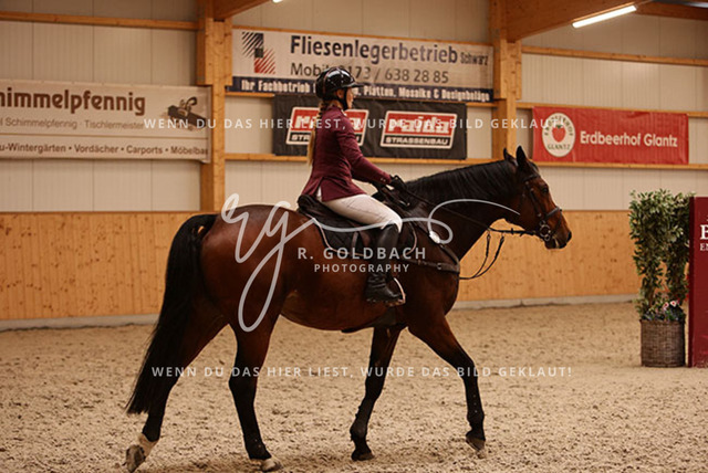 1J2A9476Juliane Weihs_ Hell Boy van de Zuuthoeve Z_ Kn278_ Glantz_ Hohen Wieschendorf | Foto- und Videografie für alles rund ums Pferd. Hochwertige Bilder und Videos vom Spring- und Dressurreiten, Voltigieren & mehr. Jetzt aktuelle Veranstaltungen und Preise im Shop ansehen. - Realisiert mit Pictrs.com