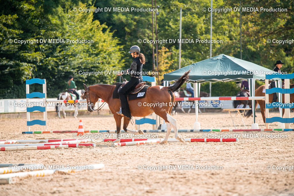 ZS2_7516 | dv-media-shop - Realisiert mit Pictrs.com