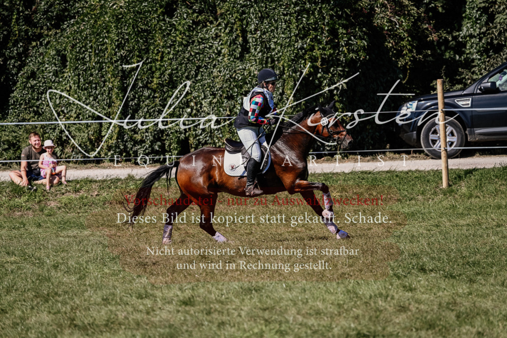 DSC_1572 | Pferde- und Turnierfotografie in Westsachsen. Pferdeportraits, Auftragszeichnungen und intuitive Kunst.