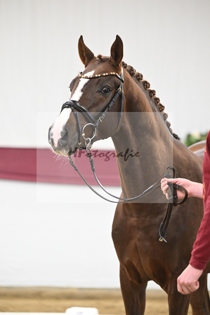 Kat-Nr. 64 Sky x Damsey_Heiko Klausing_47252316 | hf-fotografie - Realisiert mit Pictrs.com