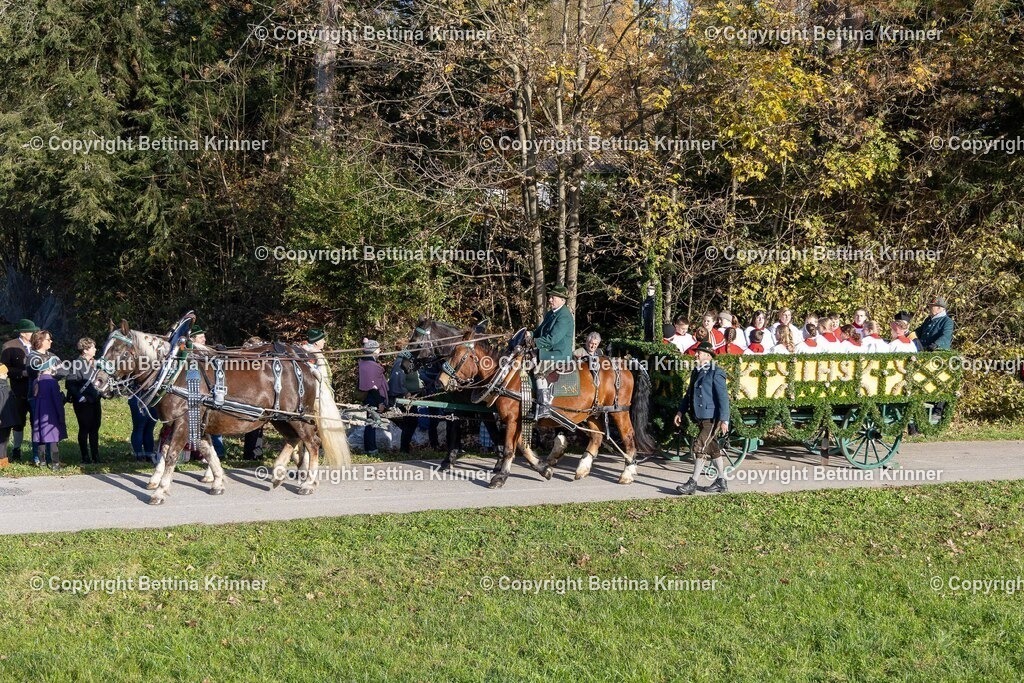 LBT24-37 | foto-bettina-krinner - Realisiert mit Pictrs.com