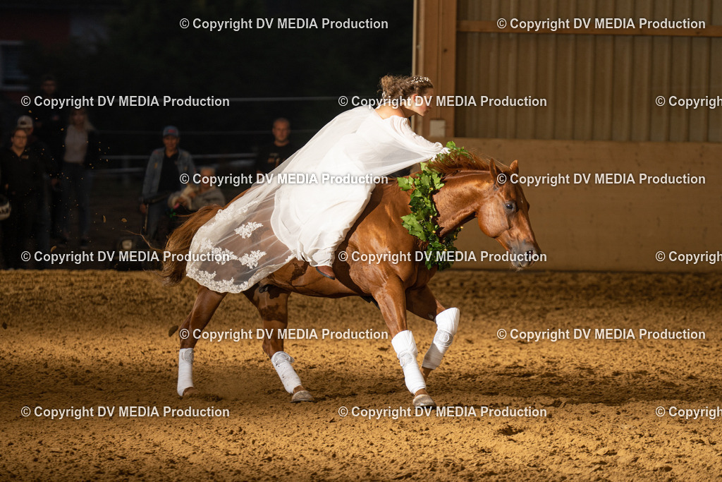 LAU01185 | dv-media-shop - Realisiert mit Pictrs.com