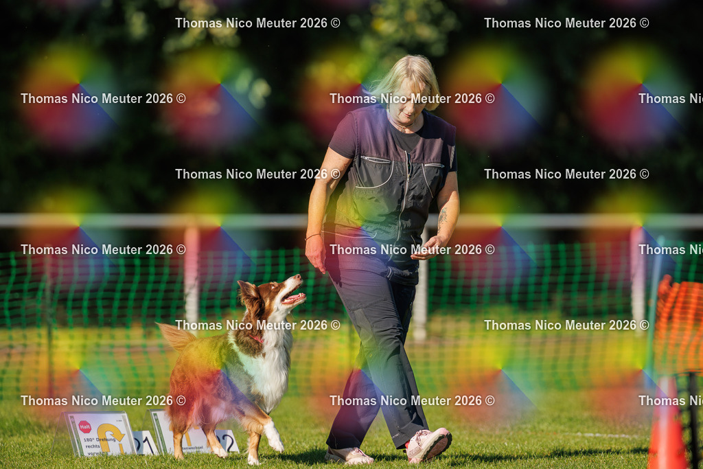 Thomas_Nico_Meuter(C)_04. Oktober 2026_223A3894 | Bild von Thomas Nico Meuter - Realisiert mit Pictrs.com