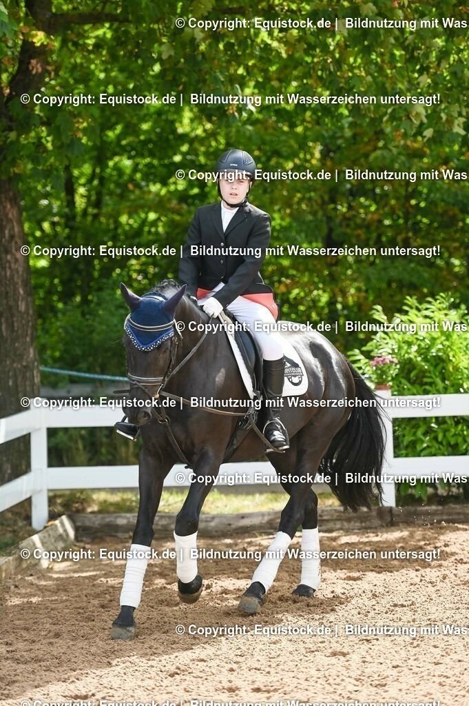 20230716_10-1_Reiter-WB Schritt - Trab - Galopp_0147 | equistock